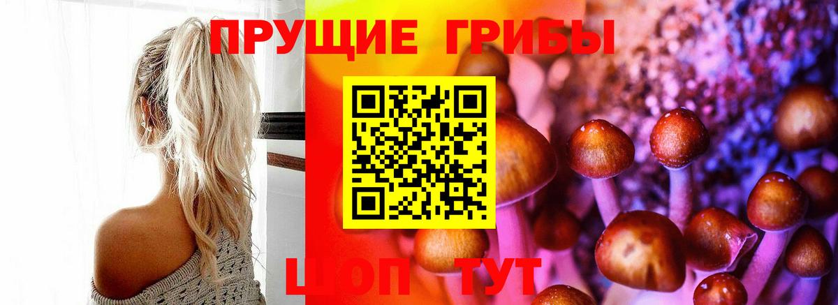 Псилоцибиновые грибы Magic Shrooms Нижний Новгород
